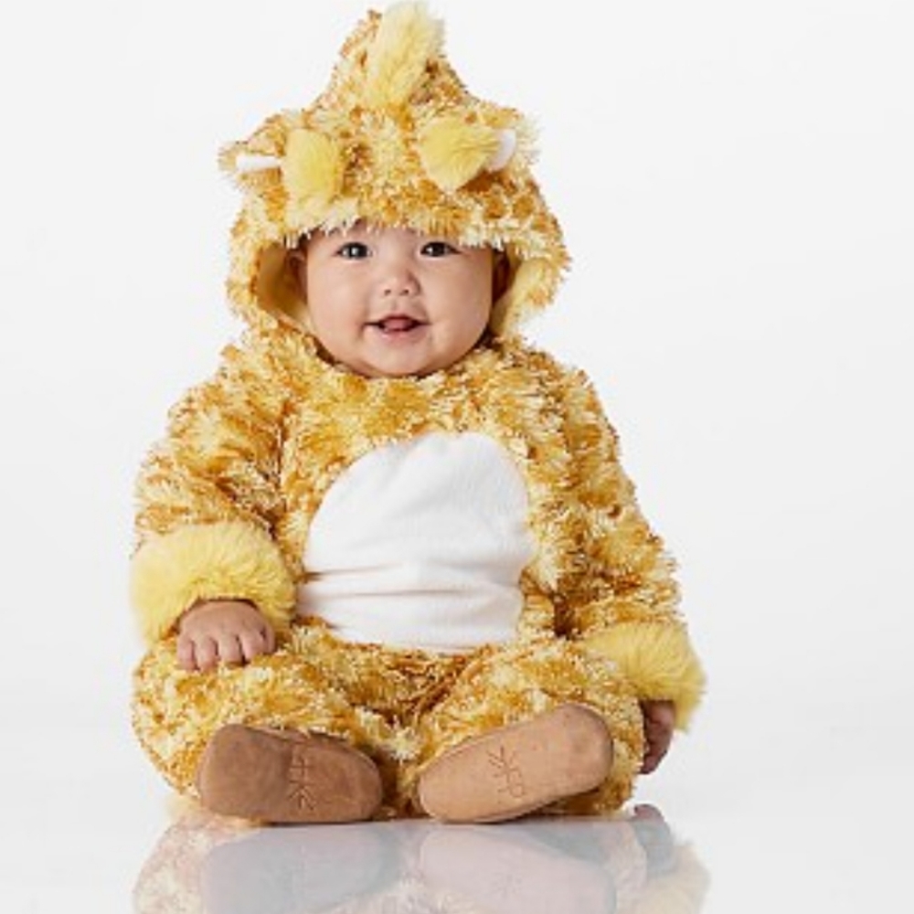 Pottery barn costume  🦒 0-6mon